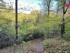 Prodej louky, Bělá pod Bezdězem, 1457 m2