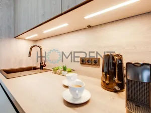 Pronájem bytu 2+kk, Praha - Nusle, Závišova, 45 m2
