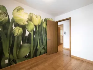 Pronájem bytu 2+kk, Jesenice, V Lázních, 40 m2