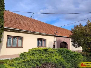 Prodej rodinného domu, Dzbel, 360 m2