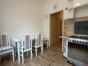 Pronájem bytu 1+1, Ostrava - Poruba, Hlavní třída, 43 m2