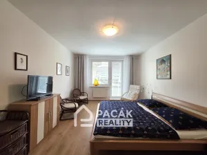 Prodej bytu 3+1, Olomouc, Rumunská, 104 m2