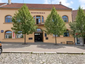 Pronájem bytu 1+1, Nepomuk, náměstí Augustina Němejce, 22 m2