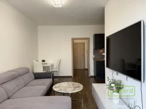 Pronájem bytu 1+1, Olomouc, Edmunda Husserla, 41 m2