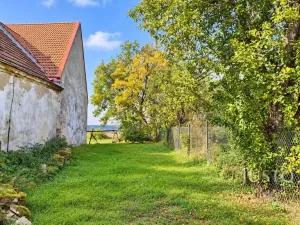 Prodej rodinného domu, Olešná, 215 m2