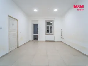 Pronájem obchodního prostoru, Plzeň - Jižní Předměstí, Tylova, 36 m2