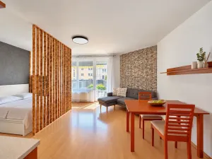 Pronájem bytu 1+kk, Brno, Bělohorská, 41 m2