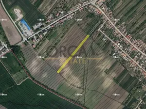 Prodej podílu pole, Starý Poddvorov, 623 m2