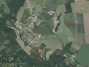 Prodej lesa, Prostějovičky, 1251 m2