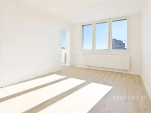 Pronájem bytu 1+1, Most, Růžová, 26 m2