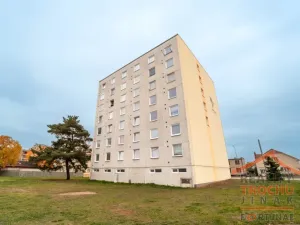 Prodej bytu 1+kk, Pardubice, Trnovská, 30 m2