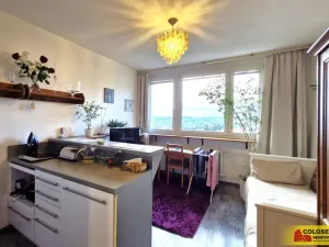 Prodej bytu 1+kk, Brno - Lesná, 23 m2