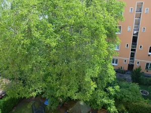 Pronájem bytu 1+kk, Praha, Pelhřimovská, 28 m2