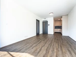 Pronájem bytu 2+kk, Praha - Žižkov, Jana Želivského, 53 m2