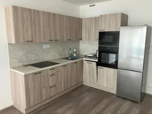 Pronájem bytu 3+kk, Praha - Žižkov, Malešická, 71 m2