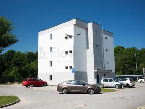 Pronájem bytu 2+kk, Polná, Pojmannova, 40 m2