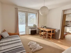 Prodej bytu 1+1, Plzeň - Lobzy, Nad Úslavou, 35 m2