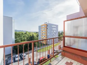 Pronájem bytu 1+1, Strakonice - Strakonice I, Mlýnská, 32 m2