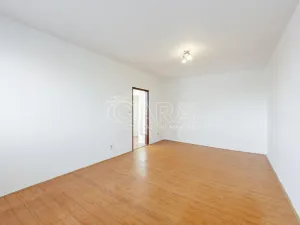 Pronájem bytu 1+1, Strakonice - Strakonice I, Mlýnská, 32 m2