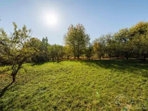 Prodej rodinného domu, Dražíč, 180 m2