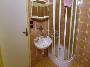 Prodej zemědělské usedlosti, Postupice - Čelivo, 451 m2