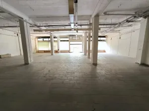 Pronájem obchodního prostoru, Ústí nad Labem, Masarykova, 141 m2
