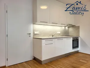 Pronájem bytu 1+kk, Kladno, Lesík, 33 m2