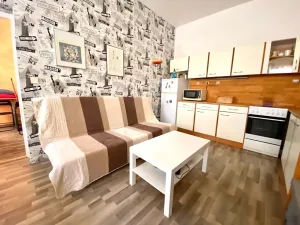 Pronájem bytu 1+1, Brno, Pekařská, 28 m2