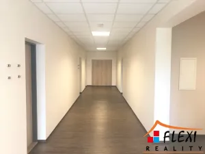 Pronájem obchodního prostoru, Ostrava, Novoveská, 167 m2