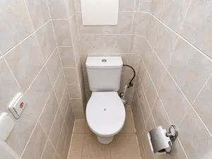 Pronájem bytu 4+kk, Říčany, Bezručova, 107 m2