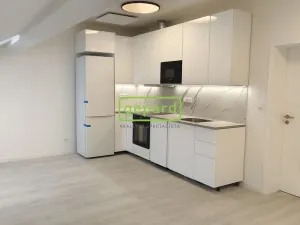 Pronájem bytu 2+kk, Brno - Zábrdovice, Slepá, 54 m2