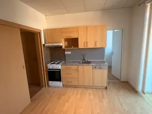 Pronájem bytu 3+1, Prostějov, Mlýnská, 100 m2