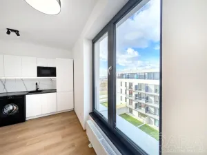 Pronájem bytu 1+kk, Plzeň - Jižní Předměstí, Železná, 27 m2