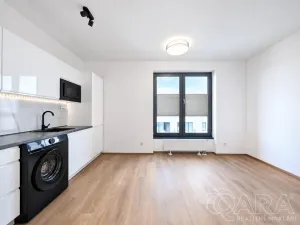 Pronájem bytu 1+kk, Plzeň - Jižní Předměstí, Železná, 27 m2