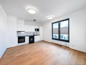 Pronájem bytu 1+kk, Plzeň - Jižní Předměstí, Železná, 27 m2