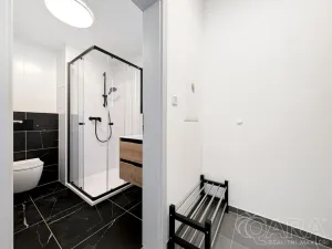 Pronájem bytu 1+kk, Plzeň - Jižní Předměstí, Železná, 27 m2