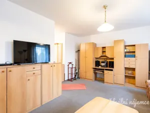 Pronájem bytu 1+1, Praha - Letňany, Chotěšovská, 39 m2