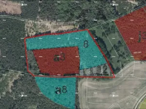 Prodej lesa, Bačalky - Lično, 26180 m2