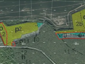 Prodej lesa, Bačalky - Lično, 5824 m2