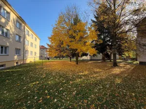Prodej bytu 2+1, Podbořany, Velká osada, 53 m2