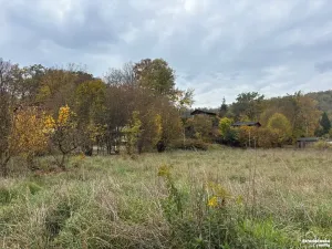 Prodej louky, Štěchovice, 4119 m2