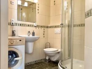 Pronájem bytu 1+kk, Plzeň - Severní Předměstí, Luční, 27 m2