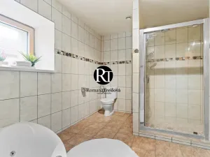Prodej rodinného domu, Olešná, 224 m2