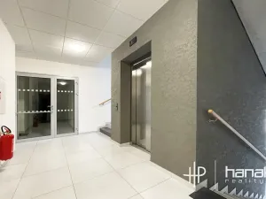 Pronájem bytu 1+kk, Olomouc, Čajkovského, 34 m2