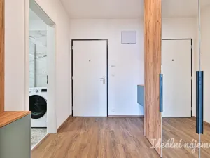 Pronájem bytu 1+kk, Brno - Židenice, Škrochova, 33 m2