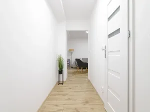 Prodej bytu 2+kk, Ostrava, Opavská, 53 m2