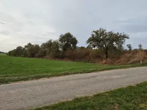 Prodej sadu/vinice, Brtnice, 1574 m2