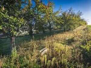 Prodej pozemku pro bydlení, Šardice, 940 m2
