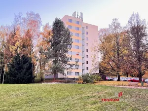 Pronájem bytu 3+1, Trutnov - Střední Předměstí, Slévárenská, 63 m2