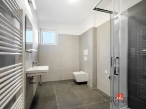 Prodej bytu 1+kk, Břasy, 42 m2
